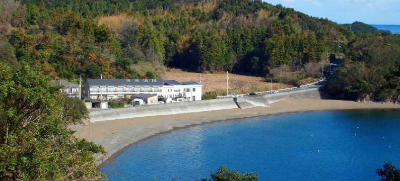 砂美片山(Sabi Katayama)图片