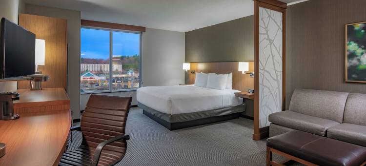 马尔伯勒/顶点中心凯悦嘉轩酒店(Hyatt Place Marlborough/Apex Center)图片