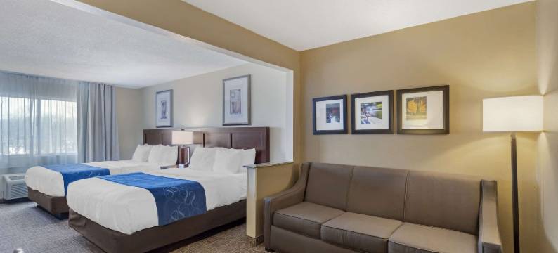 大学区舒适套房标准酒店(Comfort Suites Normal University Area)图片