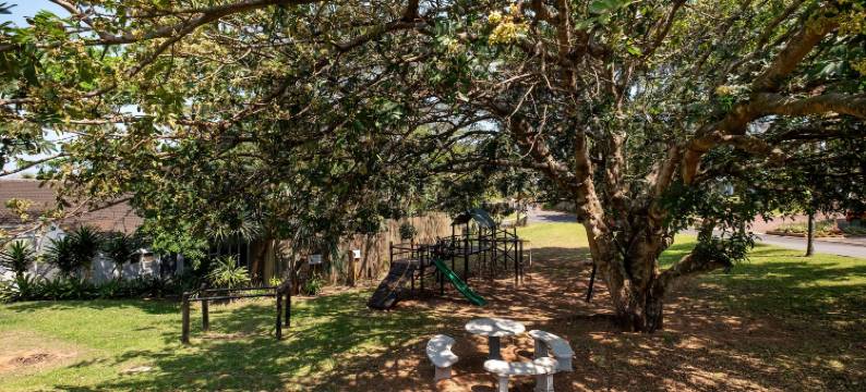 Barrington 116图片