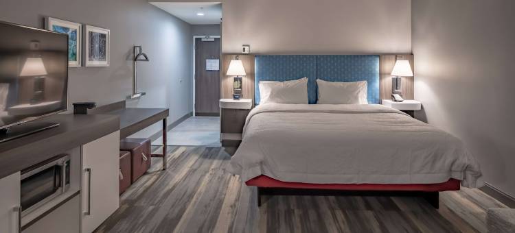 达拉斯-普莱诺市中心欢朋套房酒店(Hampton Inn & Suites by Hilton Plano Dallas)图片