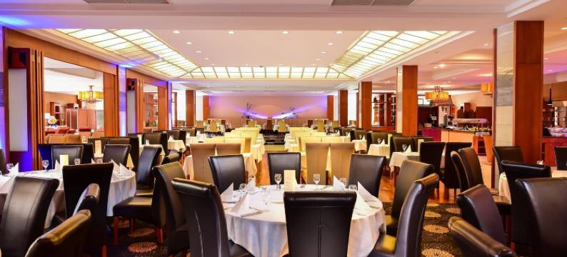 亚祖尔希欧福克酒店(Hotel Azur Siofok)图片