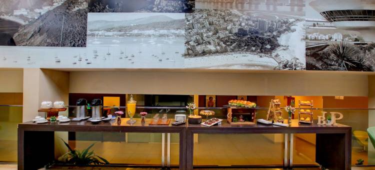 里约热内卢桑托斯都蒙特诺富特酒店(Novotel RJ Santos Dumont)图片