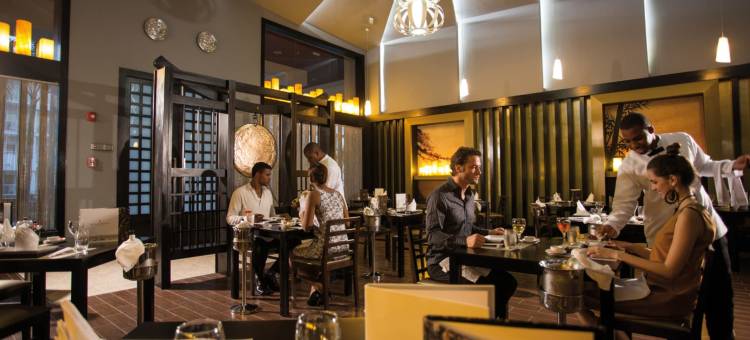 里乌宫牙买加酒店 - 限成人- 全包(Riu Palace Jamaica - Adults Only - All Inclusive)图片