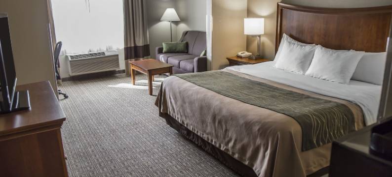 舒适酒店(Quality Inn & Suites)图片