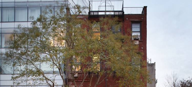 东乡村设计酒店(The Standard - East Village)图片