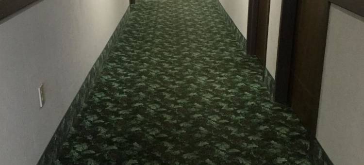 西法兰克福美洲最佳价值酒店(Americas Best Value Inn West Frankfort)图片