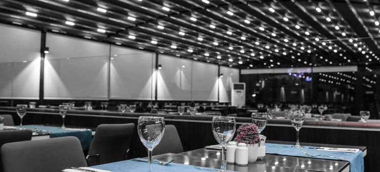 埃斯基谢希尔希尔顿花园旅馆(Hilton Garden Inn Eskisehir)图片