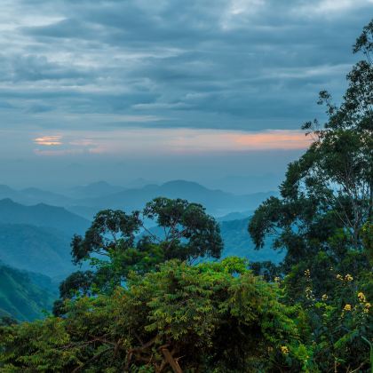 斯里兰卡7日6晚私家团