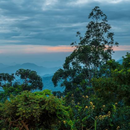 斯里兰卡7日6晚私家团