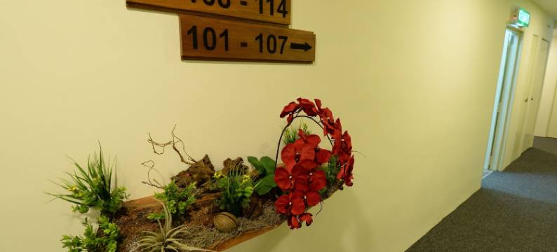 瑞姆巴酒店(Rimba Hotel)图片