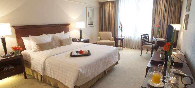 波多黎各马德罗富豪太平洋酒店(Regal Pacific Puerto Madero)图片