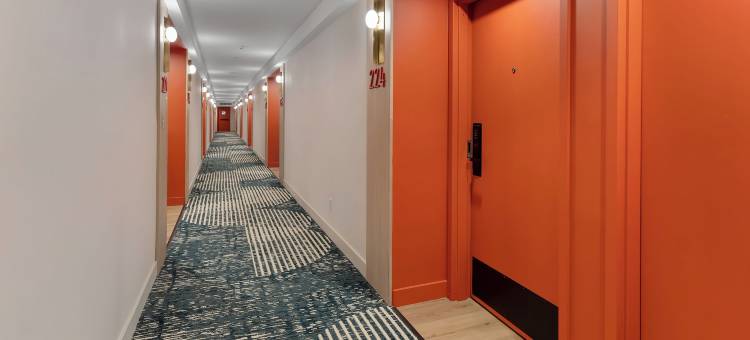 BOB酒店塔拉哈西(Bob Hotels Tallahassee - Boutique on Budget)图片