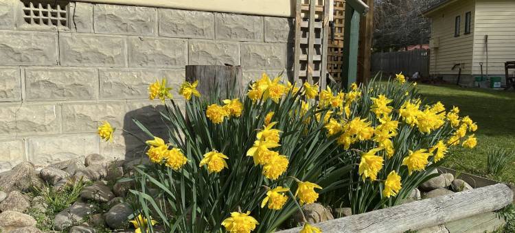 巨人餐桌小屋(Giants Table and Cottages)图片