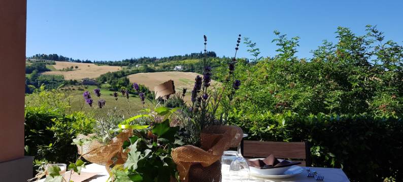 本提沃格里奥农庄酒店(Agriturismo Ben Ti Voglio)图片