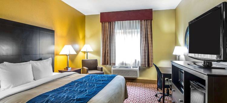 普兰特城 - 莱克兰凯艺酒店(Quality Inn Plant City - Lakeland)图片