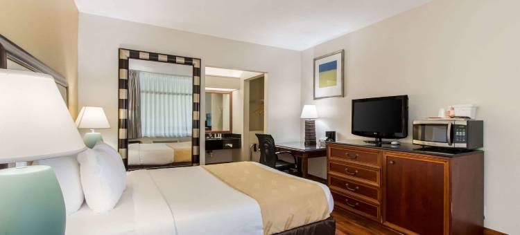 博卡－拉顿大学区凯艺酒店(Quality Inn Boca Raton University Area)图片