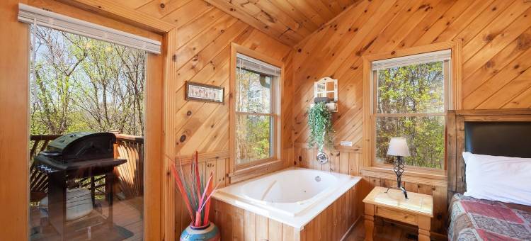 山景Holy Smoky小屋由RedAwning提供(Mountain View Holy Smoky Cabin)图片