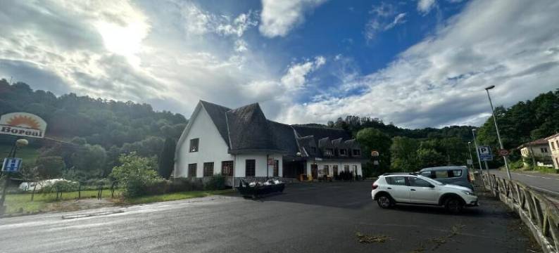 你好阿斯图尔绿色(Hello Astur Green)图片