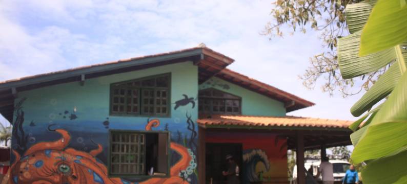 海洋青年旅舍(Off Ocean Hostel)图片