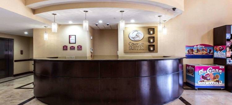 舒适套房酒店(Comfort Suites)图片