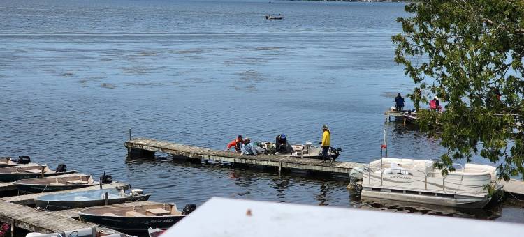 Myriad Fins小屋和码头(Myriad Fins Cottage and Marina)图片