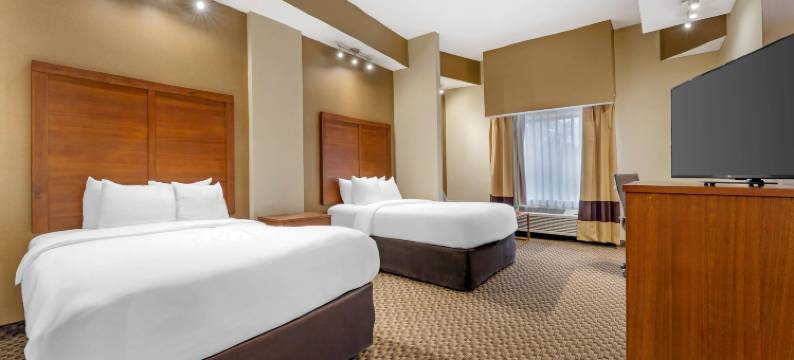 舒适套房酒店(Comfort Suites)图片