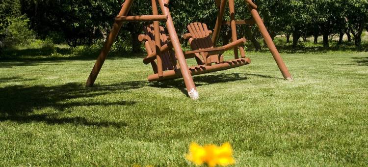 温泉旅馆及酿酒厂(Warm Springs Inn & Winery)图片