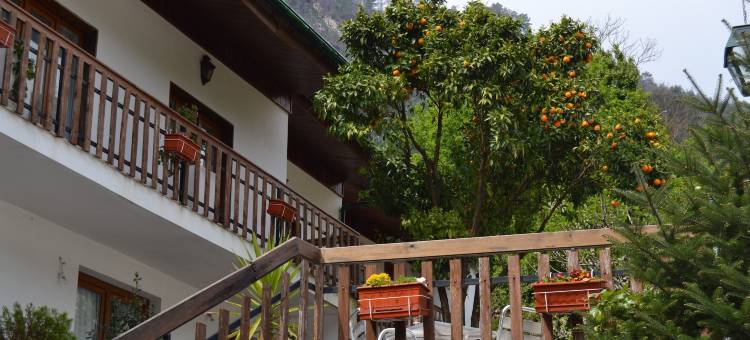 阿劳霍卡瓦略酒店(Hotel Carvalho Araujo)图片