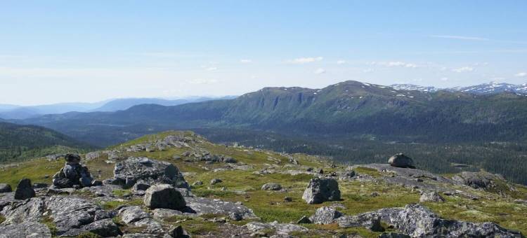 维格利维尔胡斯酒店(Veggli Vertshus)图片