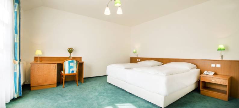 德沃拉克酒店(Hotel Dvorak)图片