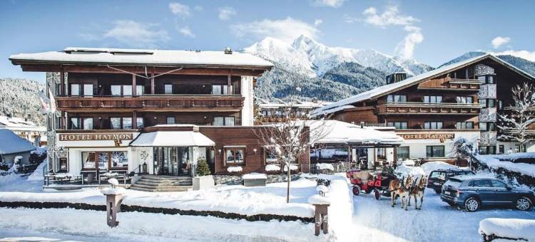 哈蒙酒店(Hotel Haymon)图片