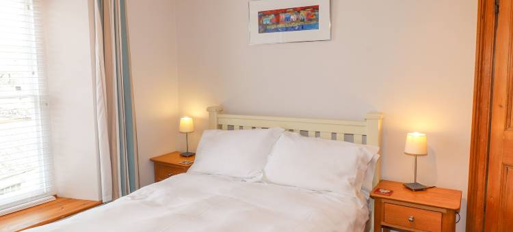 卡诺法(Carnorfa)图片