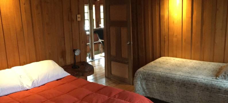 乡村农场旅馆(La Casona Puelo Lodge)图片