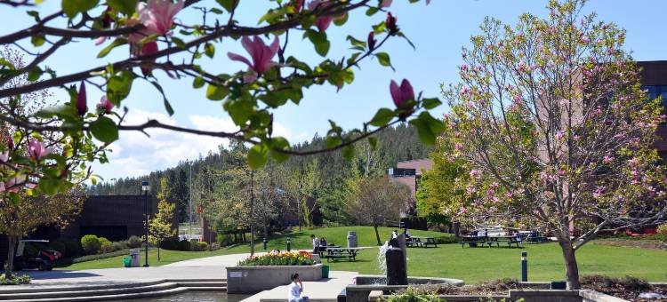 哥伦比亚大学奥肯那根校园酒店(UBC Okanagan Campus)图片