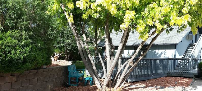 香草家庭旅馆(Sweetgrass Inn Bed & Breakfast)图片