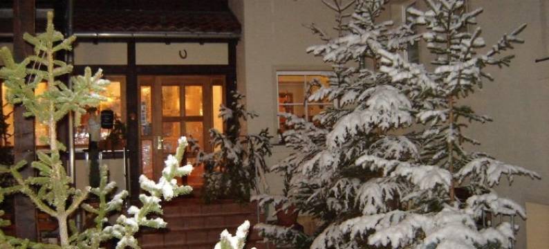 城门酒店(Hotel Zum Stadttor)图片