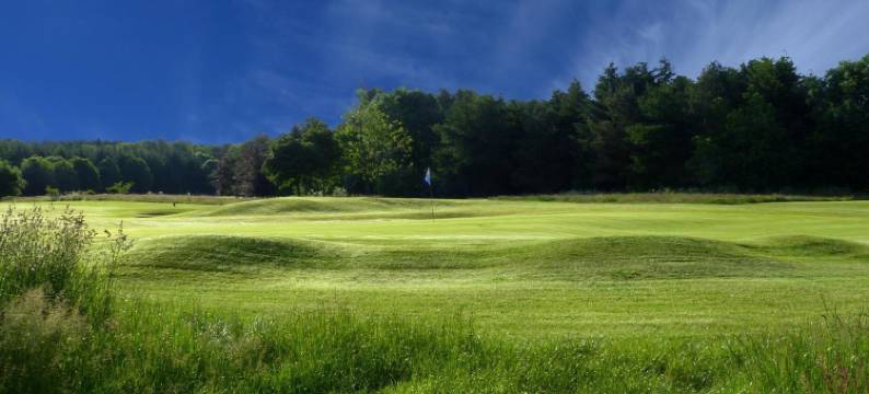 绿色酒店(Green Hotel)图片