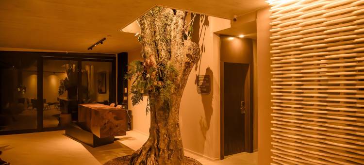 亚曼杜旅馆(Pousada Yamandu)图片