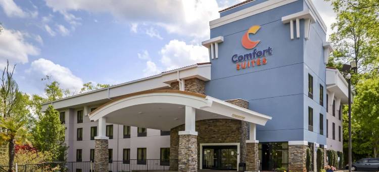 舒适套房酒店-肯纳瑟州立大学(Comfort Suites at Kennesaw State University)图片