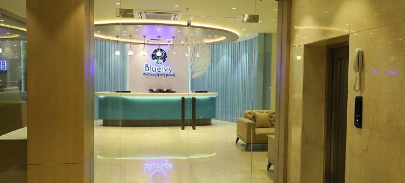 布鲁艾维酒店(Hotel Blueivy Anand)图片