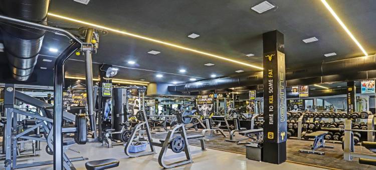 Treebo 里沙(Treebo Risha)图片