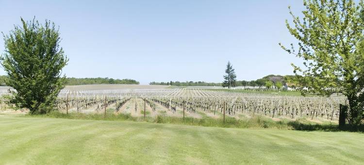 基提涅布里耶庄园旅馆(Domaine de Quittignan Brillette)图片