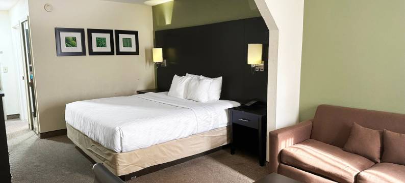 OYO酒店罗马西GA(OYO Hotel Rome West GA)图片