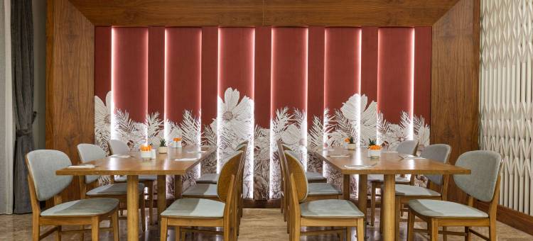 安卡拉基济莱美居酒店(Mercure Ankara Kizilay)图片