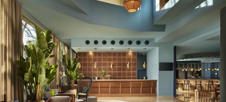 铵阿利坎特酒店(NH Alicante)图片