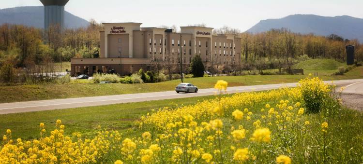 伍德斯托克欢朋套房酒店(Hampton Inn & Suites Woodstock)图片