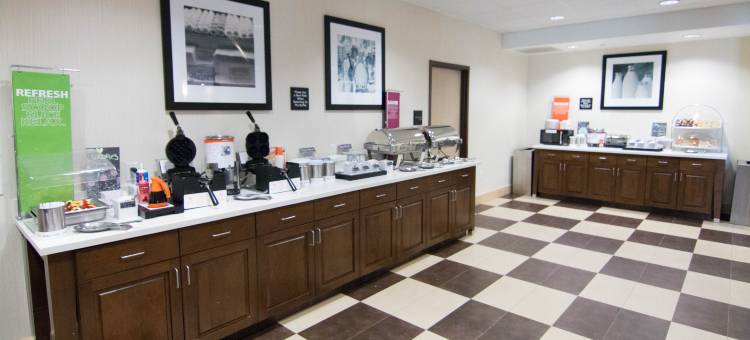 美国达拉斯/弗赖拉辛北球馆欢朋套房酒店(Hampton Inn & Suites by Hilton Dallas/Frisco North-Fieldhouse USA)图片