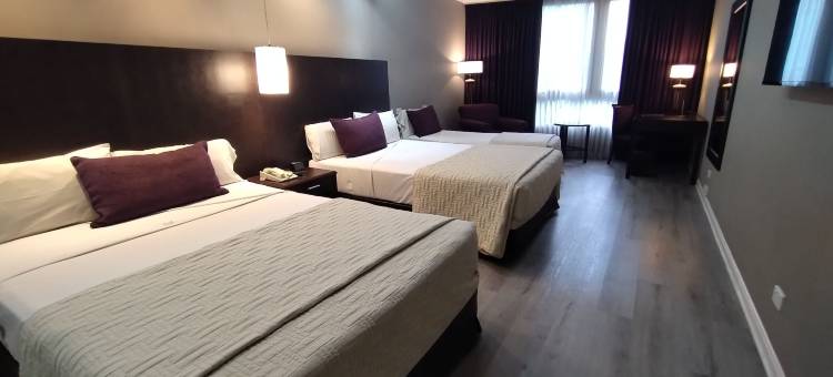 布宜诺斯艾利斯佛罗里达街豪生广场酒店(Howard Johnson Plaza by Wyndham Buenos Aires Florida Street)图片