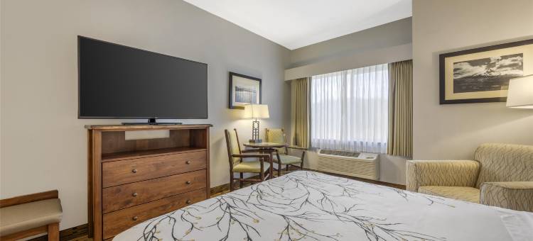 哥伦比亚河贝斯特韦斯特优质酒店(Best Western Plus Columbia River Inn)图片